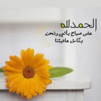 فورد ‏فيوجن ‏SE ‏2017