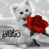 ahmad