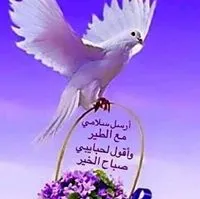 سامسونج ‏جالاكسي A06 ‏64 جيجابايت ‏أسود