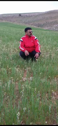 سليمان