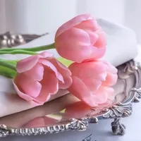 محمود احمد
