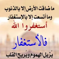 Hyundai Verna Standard 2009