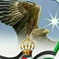 راتب المجالي المجالي