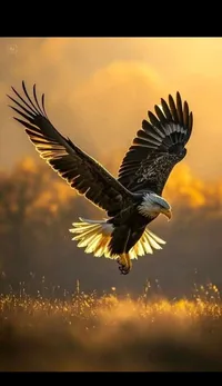 a76579aa-ae38-412d-974d-3d6885f5fd0c