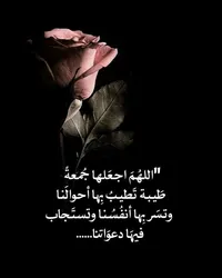 وائل  طنبور