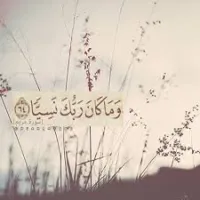 165a994d-da92-46d2-990c-11b3ffefc735