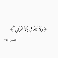 شادية ابوحمد