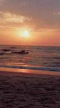 Telemarketing Agent -Gaza