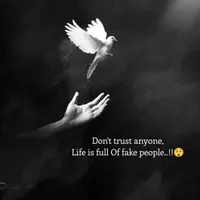 Lamborghini ‏Revuelto ‏2026