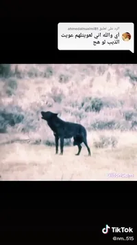 أِبَوٌ زَّيَد الحلبي