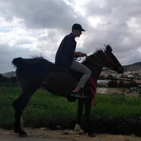 صالح الخرابشه