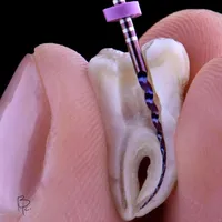 Dentist -Amman