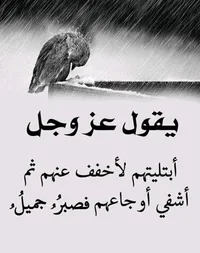 نورس