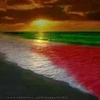 Hamzeh Essa