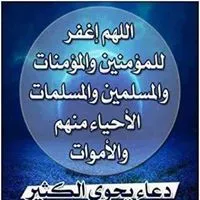 عدي بكر