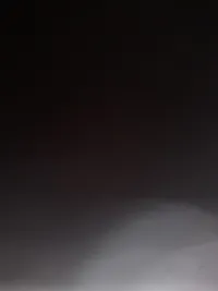 طارق بلبل