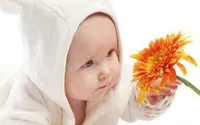 ياسر  الديك 