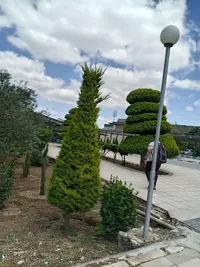 Eklas Um karam