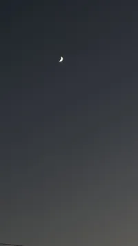 حنين  دنون