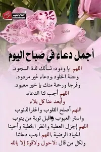 ابو اسامه السلطي
