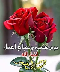 احمد العالم