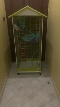 سناجب شوقر قلايدر للبيع