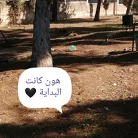 Rafat