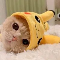 آلاء