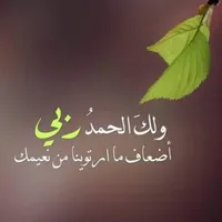 علي حسين علي