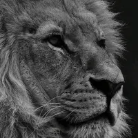 سامسونج ‏جالاكسي S24 الترا ‏512 جيجابايت ‏لؤلؤي