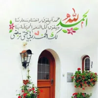 تويوتا كامري XLE 2017