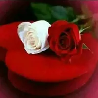 مديحه
