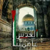 فورد ‏فيوجن ‏SE ‏2015
