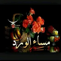 اسامه جعفر الكفاوين