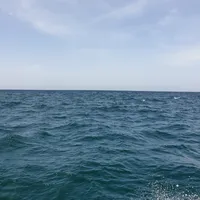سامسونج ‏جالاكسي A56 ‏256 جيجابايت ‏أبيض