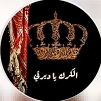سيف الدين العمرو