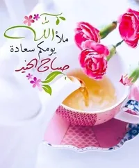 ايمان ماجد محمد الهدري