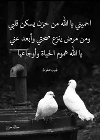 معمر صوف