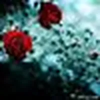muhannad alfrraj
