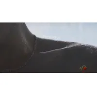 محمود البرعي