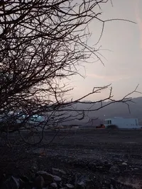أبل ‏ايفون 6 ‏64 جيجابايت ‏رمادي