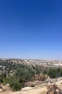 وائل الزيود ابو جواد