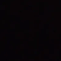 راشد بني صخر