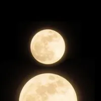 شاومي ‏مي 11 لايت ‏512 جيجابايت ‏فضي