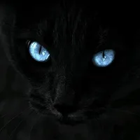 ابوجود  ابوجود 