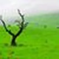 إبراهيم ابو طراد