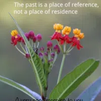 ميتسوبيشي ‏مونتيرو سبورت ‏GLX ‏2023