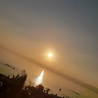 محمد الخطيب