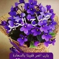 تخت مجوز للبيع(صويلح)