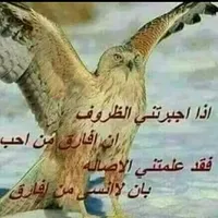 حسين العوري